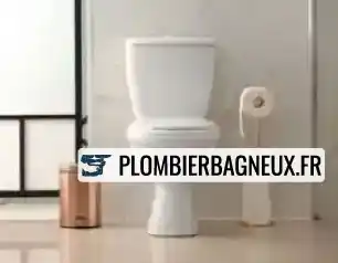 Remplacement de wc Bagneux