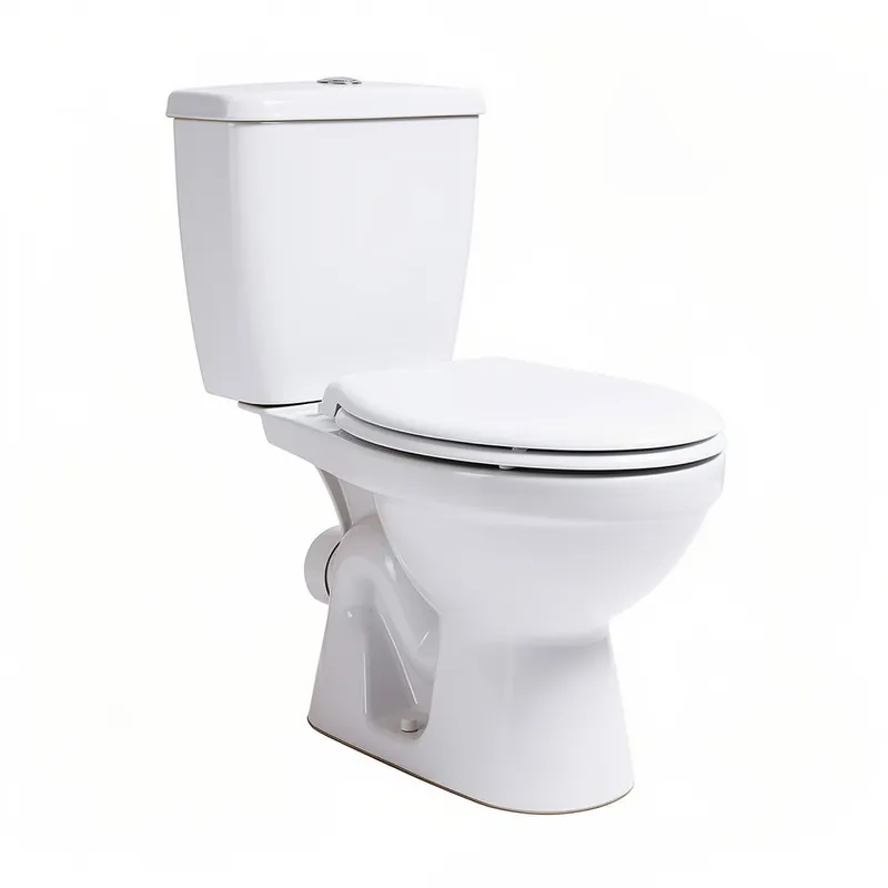 Remplacement de WC Bagneux