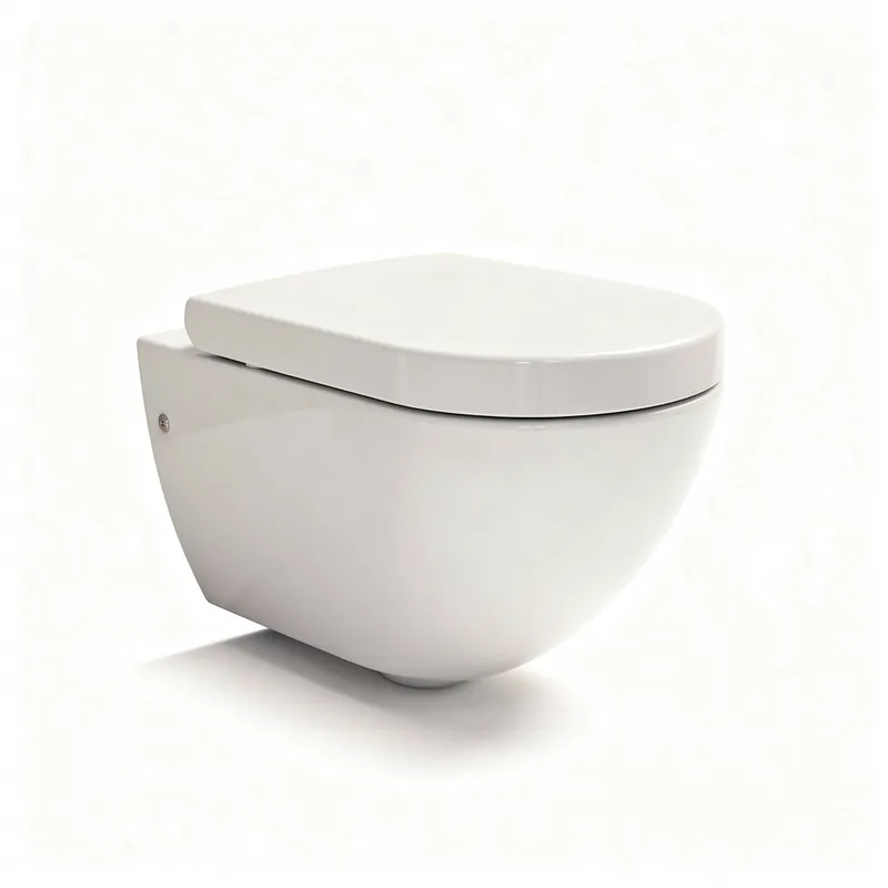 Pose WC Suspendu Bagneux